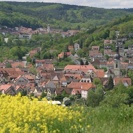 Ferienwohnung Haas Lauda-Königshofen المظهر الخارجي الصورة