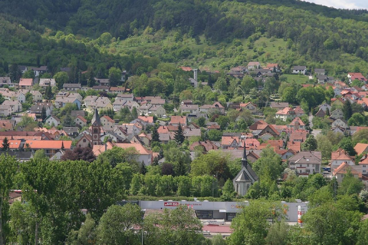 Ferienwohnung Haas Lauda-Königshofen المظهر الخارجي الصورة